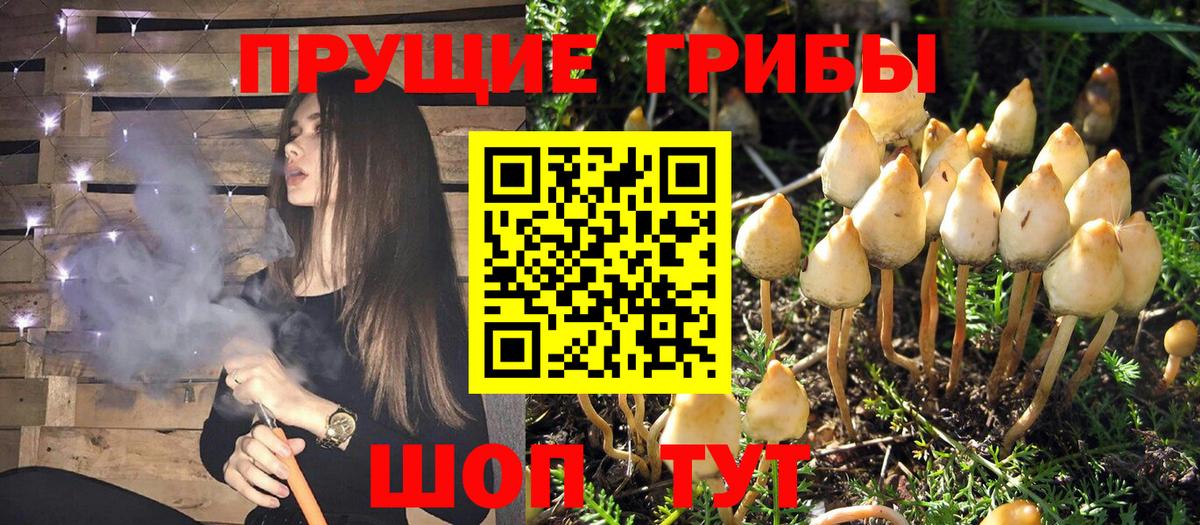 Псилоцибиновые грибы MAGIC MUSHROOMS Новороссийск